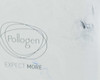 Pollogen Legend+ close-up of Pollogen logo and 'Expect More' branding with scuff marks on white housing