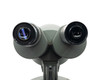 Front-on view of both Elgeet W10X widefield eyepieces with blue-coated optics visible