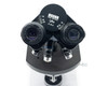 Carl Zeiss 470916-9902/15 Binocular Microscope with Einbau-Trafo, 4 Zeiss Lenses