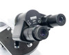 Carl Zeiss Zeiss West Germany 1.25x binocular tube and CPL W 10x/18 eyepiece detail view