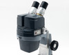 American Optical AO 569 binocular head and zoom body close-up showing dual eyepieces, zoom knob, and AO 569 nameplate