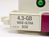 Compaq 242801-001 caddy front label closeup reading 4.3-GB Wide-Ultra SCSI with part 242591-013