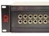 Close-up of AVP logo and front panel showing two rows of 1/4" TRS jacks with gold-plated contacts