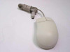 Microsoft 52695 PS/2 two-button mouse – top/front view showing mouse body and PS/2 cable