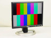 Dell 2001FP 20.1-inch LCD monitor front 3/4 view — powered on displaying color bar test pattern, silver and black design with Dell logo