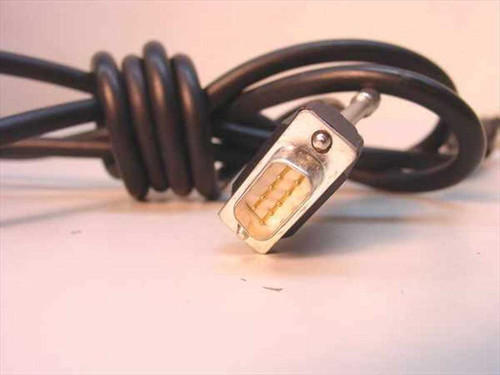 DB9 male 9-pin connector end of serial extension cable — close-up showing gold pins and thumbscrew hardware with coiled black cable