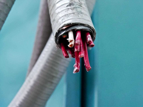 Close-up of armored cable bundle end showing exposed red and white conductors from the chamber controller harness