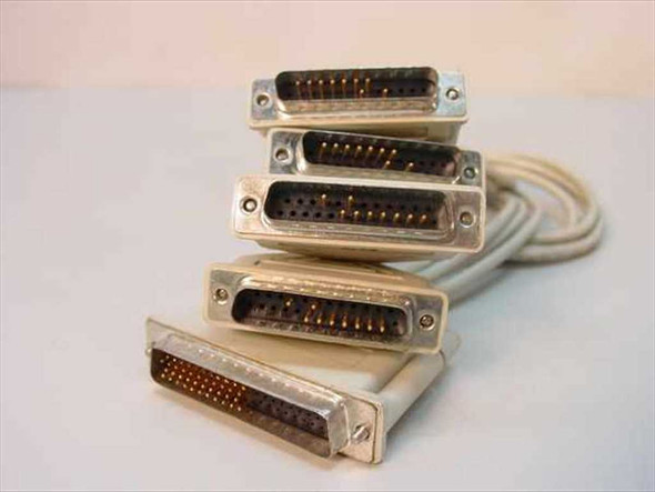 Proprietary DB25 male 1-to-4 fan-out aggregator cable showing all five connectors fanned out