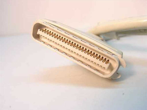 Close-up of DB50 Centronics 50-pin male connector showing gold-plated pins and plastic housing
