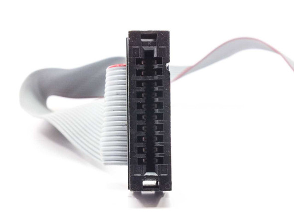 IBM 134-1656 ribbon cable – close-up of 20-pin IDC connector end, front face view