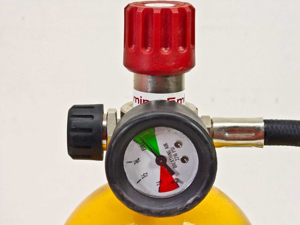 International Safety Instruments Emergency Life Support Apparatus (ELSA - 5)