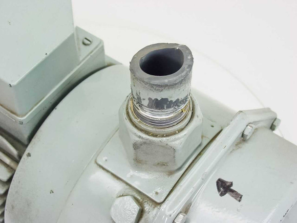 Bell & Gossett FST 3000 — close-up of top threaded outlet port showing wear and paint chips around the port fitting