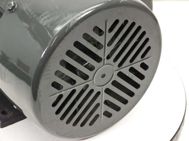 Dayton 4FN65 motor fan-end view showing TEFC fan guard and cooling vents