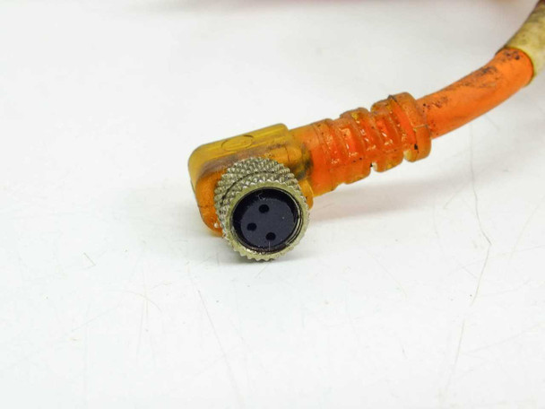 Lumberg RST3-RKMWV/LEDA3-90/2 M8 3-pole female 90-degree angle connector close-up showing pin receptacles