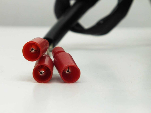 Close-up of 3-pin red bullet connector on wiring harness for Tung Lee 4RK25GN-C reversible motor indexing drive assembly