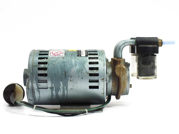 Gast 1531-107B-G288X vacuum pump — left-side view showing motor housing with surface oxidation and oil separator bowl