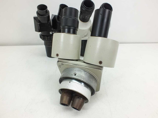 Group of three microscope heads showing zoom bodies and binocular eyepiece assemblies from front-left angle