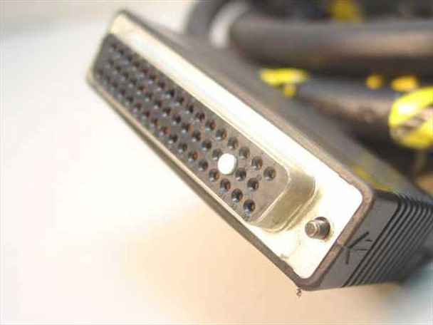 Close-up front face of DB50 50-pin female connector showing full pin array in metal shell housing and ribbed strain relief boot