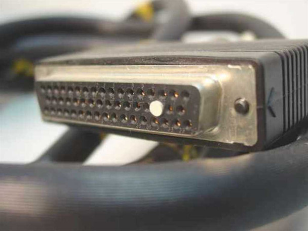 Angled close-up of DB50 50-pin female connector showing pin array depth, metal shell, and ribbed strain relief boot from slightly elevated perspective