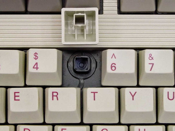 HP C1405A keyboard mechanical switch close-up with keycap removed showing Alps-style switch housing