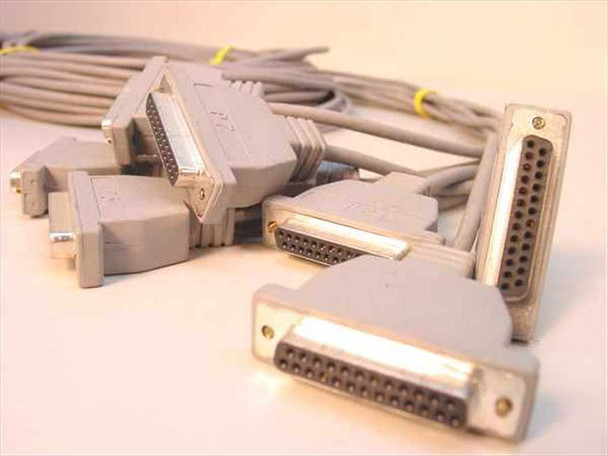 DB25 female connectors close-up showing multiple fanout legs of the breakout cable
