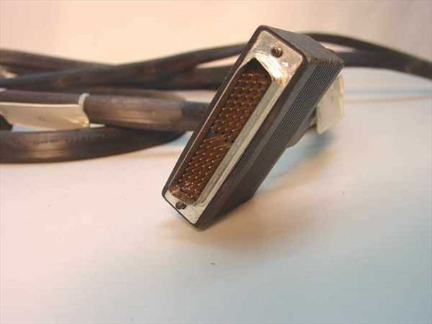 IBM DB72 72-pin high-density male SCSI connector close-up showing pin array, connector end one