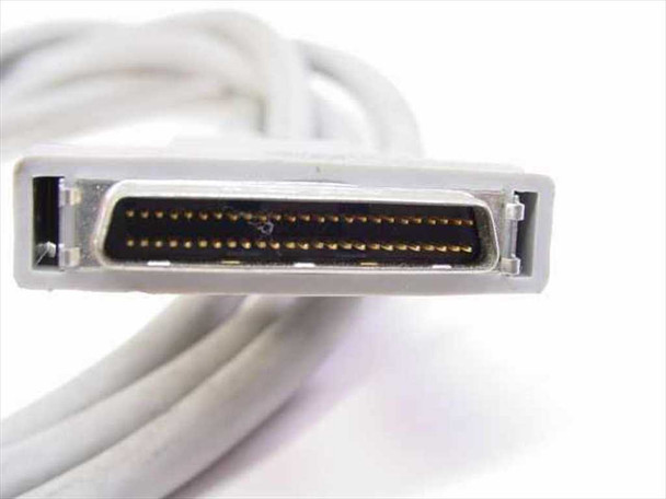 Close-up of HP C5100-61605 DB50 50-pin male SCSI connector showing gold-pin contact array