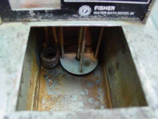 Fisher Scientific Water Bath Model 80 — interior tub view showing heavily rusted walls, heating element, and circulation pump assembly at the bottom