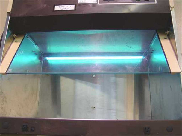Labconco 36205 interior work zone – sash fully raised, UV/fluorescent lamp illuminated, stainless steel work surface and perforated rear wall visible