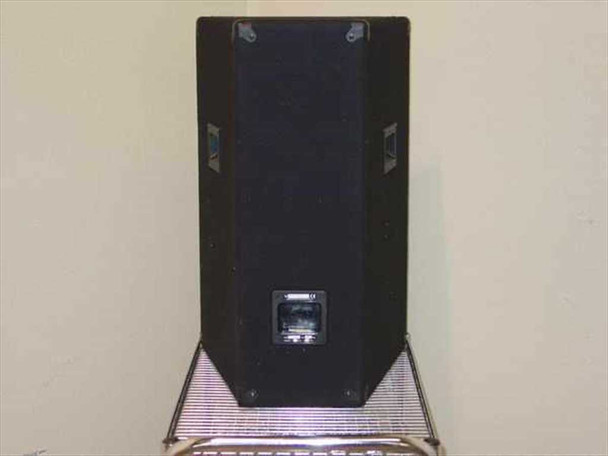Laney CT815 PA speaker cabinet — rear view showing black carpet-covered enclosure, side handles, and recessed connector panel