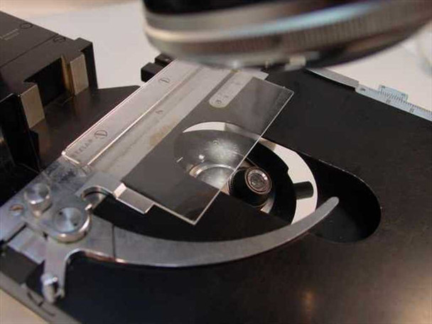 Leitz 561007 mechanical X-Y slide stage close-up showing glass slide positioned over the transmitted light aperture with vernier scale rulers