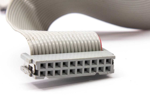 IBM 134-1731 ribbon cable — close-up of 20-pin IDC connector face showing two rows of ten contacts