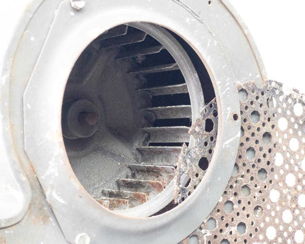 Close-up of Torrington blower squirrel cage impeller — angled view into inlet showing backward-curved vanes, dust and rust accumulation on blades and inside housing walls