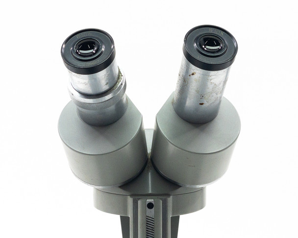 Top-down view of both Elgeet W10X eyepieces seated in binocular head with diopter adjustment ring visible on right tube