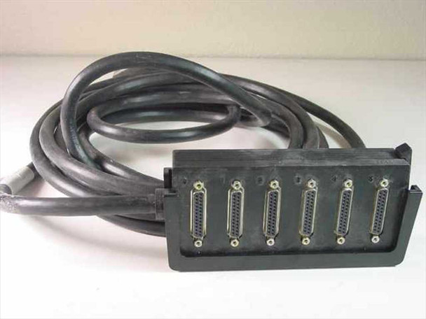 IBM 21F5097 9841 cable — breakout end showing all six numbered DB25 female terminal connectors in black housing