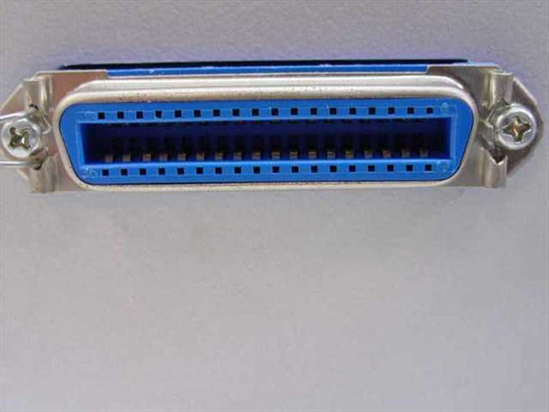 Close-up of Centronics 36-pin female connector on control box rear panel