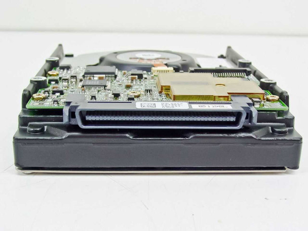HP D4289-60002 hard drive – rear edge view showing 80-pin SCA SCSI connector