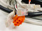 Carrier Access Corp 003-0124 Power Supply 48VDC 1.0A Level 3