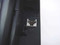 NEC DTU-8-1 Office Phone Black