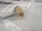 Beckman 668140 CO2 Electrode