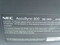 NEC AS900-BK AccuSync 900 19" Monitor