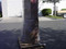 CM Furnaces 1655-30 HCT 3-Zone Tube Furnace w/Transformer & Controller