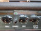 Laney LC50-II Class A/B Tube Guitar Amplifier
