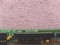 Paradise EGA Video Card mono EGA480