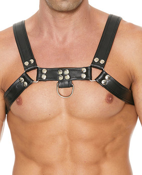 Shots Uomo Chest Bulldog Harness Small/medium - Black