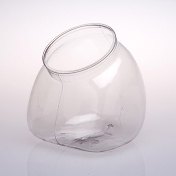 ++DN Fl Globe-5.5 X 6