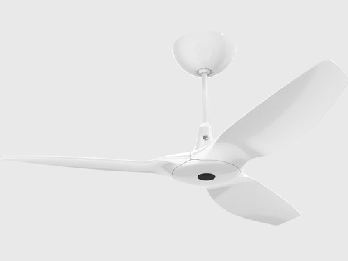 Haiku® I Ceiling Fan