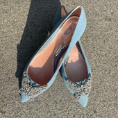 Eliana Ballerina Flat Pointy Blue Denim