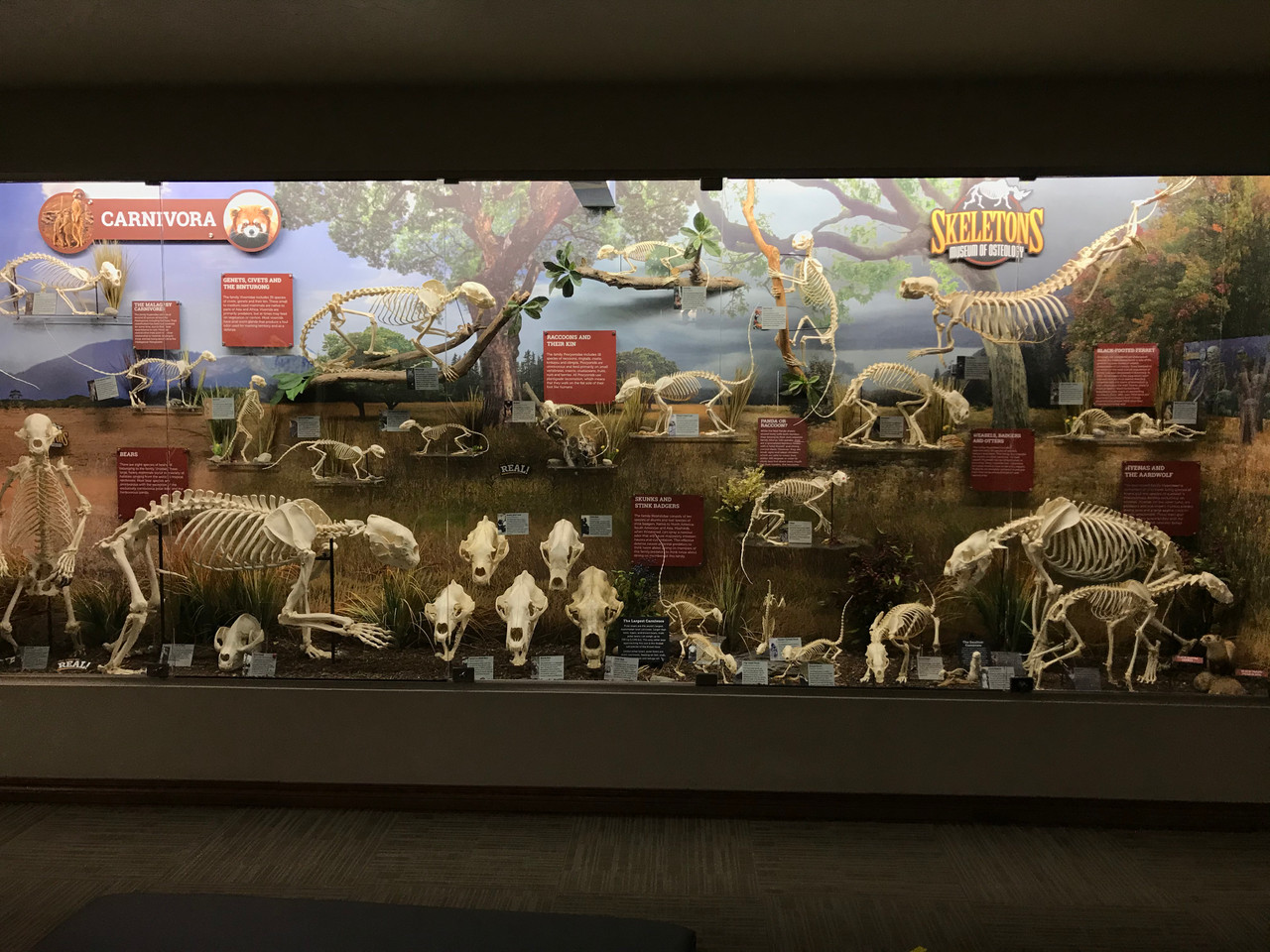 Home Office Wrapped in DPF 4200 by Arlon