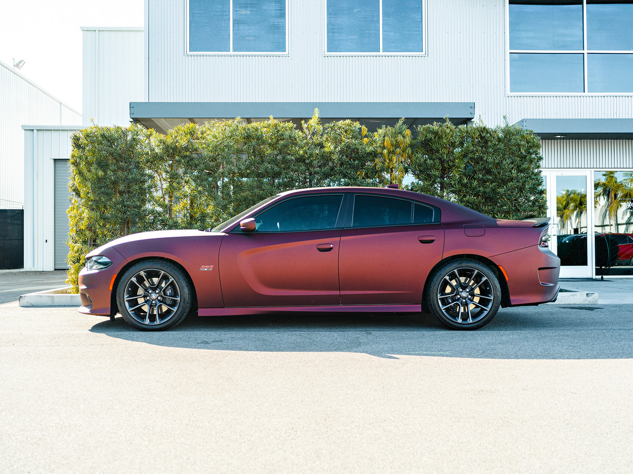 Wrap-up fsg2 レッド Wrap-up fsg2 レッド WRAP-UP NEXT FSG2 FREESTYLE GEOMETRY